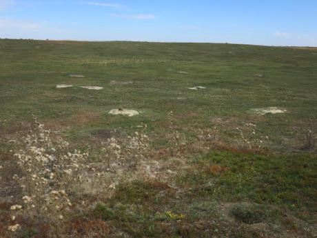 prarie dog town, T.R.N.P